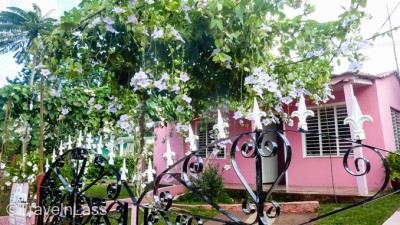 (CUBA: The Viñales Valley)