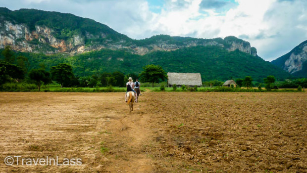 Clip-clopping through plowed tobacco fields