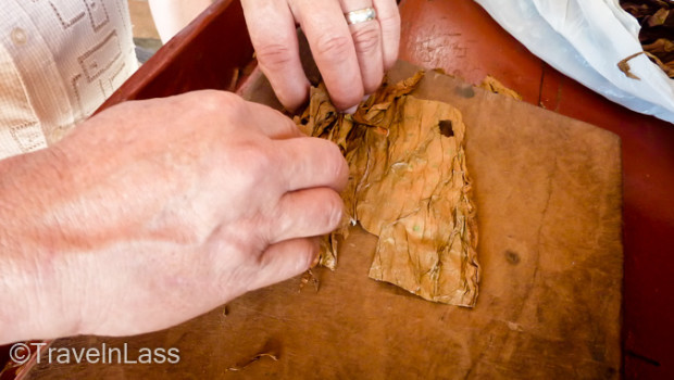 Hand rolling a cigar