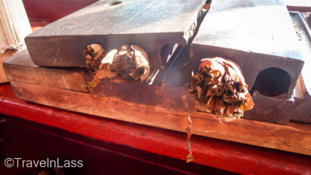 Cigars tucked into a press