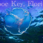 04Elaine-TripWellnessPostcardFRONT (Travel Photo Roulette #119:  BLUE (And the winner is…))