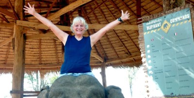 AboutDyElephant950 (30 Best Travel Tips Popup Campaign)