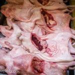 Making-Fanesca-Soup-in-Cuenca-Ecuador-11 (Cooking Fanesca With My Cuenca Neighbor)