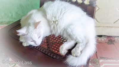 CUBA-Trinidad-Misc-19 (CUBA: Trinidad)