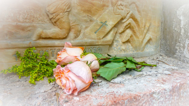 A single rose on a grave in the municipal cemetery, Cuenca, Ecuador