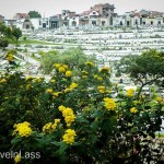 Memorial-Day-Cuenca-Style-17 (Memorial Day – Cuenca Style)