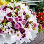 Memorial-Day-Cuenca-Style-2 (Memorial Day – Cuenca Style)