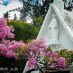 Memorial-Day-Cuenca-Style-21 (Memorial Day – Cuenca Style)