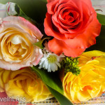 Memorial-Day-Cuenca-Style-22 (Memorial Day – Cuenca Style)