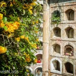 Memorial-Day-Cuenca-Style-7 (Memorial Day – Cuenca Style)