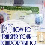 DIY-Ecuador-Visa-Transfer-Part-2-PI (DIY Transfer an Ecuador 9-I Visa to a New Passport (Part 2))