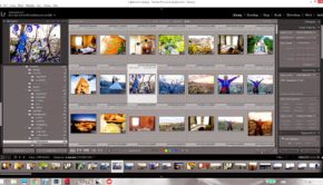 My (beloved) Adobe Lightroom 6 Library interface