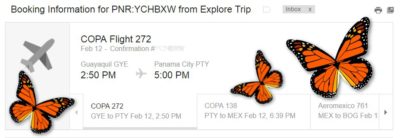 air-confirmation-to-mexico-to-see-the-monarch-butterfly-migration (Taking My Own (Travel) Advice)