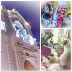 cuenca-ecuador-christmas-collage-2015 (My 6th Expat Christmas)