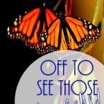 pi-off-to-see-those-monarchs (Taking My Own (Travel) Advice)
