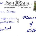 postcardback-hunting-truffle-mushrooms-in-istria-motovun-croatia (Looking Back on 2016: A Dozen “Postcards”)