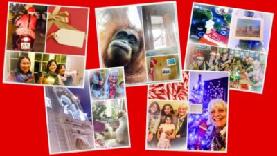 (My 6th Expat Christmas)