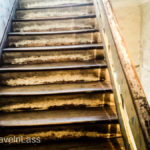 Tales-from-the-Expat-Carnival-Bookstore-Edition-6 (Tales from the Expat Carnival: Bookstore Edition)