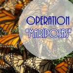 PI-Operation-Mariposas (Operation “Mariposas”)