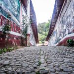 Angangueo-2 (MEXICO: Butterflies DRIPPING from the Trees!)