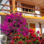 Angangueo-Hotel-1 (MEXICO: Butterflies DRIPPING from the Trees!)