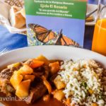 Angangueo-Hotel-6 (MEXICO: Butterflies DRIPPING from the Trees!)