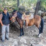 Cerro-Pelon-Butterfly-Sactuary-13 (MEXICO: Butterflies DRIPPING from the Trees!)