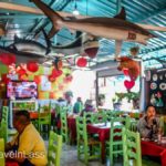 Cerro-Pelon-Butterfly-Sactuary-15 (MEXICO: Butterflies DRIPPING from the Trees!)