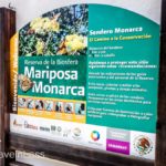 Cerro-Pelon-Butterfly-Sactuary-2 (MEXICO: Butterflies DRIPPING from the Trees!)