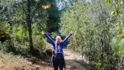 Monarch-Butterfly-Sanctuary-Slider (MEXICO: Butterflies DRIPPING from the Trees!)