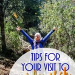 PI-Tips-for-your-visit-to-the-Monarch-Butterfly-Sanctuary (MEXICO: Butterflies DRIPPING from the Trees!)