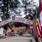 Rosario-Butterfly-Sactuary-2 (MEXICO: Butterflies DRIPPING from the Trees!)