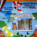 Rosario-Butterfly-Sactuary-3 (MEXICO: Butterflies DRIPPING from the Trees!)