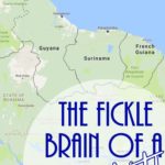 Guyana-Suriname-French-Guiana-PI (Distractions & Detours: The Fickle Brain of a Wanderlust)