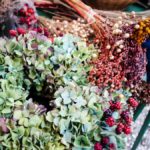 Ljubljana-Scenes-10 (Skipping Through the Balkans: #3 Slovenia – Ljubljana)