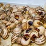 Delicious snails in Chefchaouen, Morocco (Sorry Kimchi – It’s Not You, It’s Me)