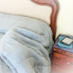 Dulce, the Invisible Cat (Prepping for Peru)