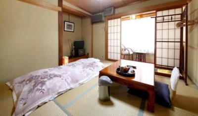 My sweet “roykan” sleeps at Yudanaka Seifuso Hotel near Jigokudani Monkey Park in Yamanouchi, Japan. (JAPAN Prep: The Sleeps)
