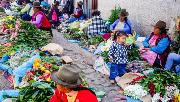 The south entrance street is lined with indiginous lasses selling medicinal herbs and flowers.