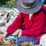 Cusco-San-Pedro-Mercado-7 (More Peru: Cusco, the Sacred Valley, and… a CONFESSION)