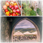 Motovun Charms collage01 (Skipping Through the Balkans: #4 Croatia – Motovun)