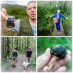 Hunting for truffles in Motovun, Croatia (Skipping Through the Balkans: #4 Croatia – Motovun)