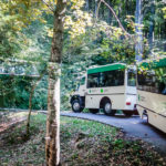 Cute little electric motor trains ferry visitors back to the entrances. (Skipping Through the Balkans: #4 Croatia – Plitvice)