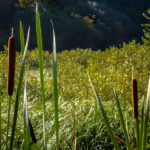 Beauty around every corner… (Skipping Through the Balkans: #4 Croatia – Plitvice)