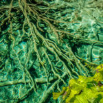 Plitvice-Croatia-6 (Skipping Through the Balkans: #4 Croatia – Plitvice)