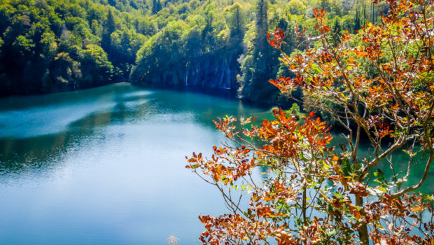 Autumn colors just beginning to turn...