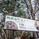 1.6 km? Easy-peasy, even with an iffy post-surgery knee. lol, I would have CRAWLED to see those monkeys! ;) (JAPAN Adventures: Snow Monkeys, Onsens, Ryokan & Kaiseki Eats)