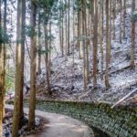 With the dusting of snow, the walk through the woods was purely magical… (JAPAN Adventures: Snow Monkeys, Onsens, Ryokan & Kaiseki Eats)