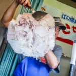 Finished Octopus Cracker (Japan Adventures: Tokyo – Tsukiji Fish Market)