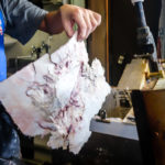 Thin as rice paper… (Japan Adventures: Tokyo – Tsukiji Fish Market)